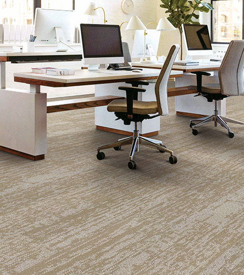 Victorex Carpet Tiles Solution Page in with money tree in the office